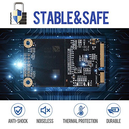 Dogfish Msata 256Gb Internal Solid State Drive Mini Sata Ssd Disk #TOP3