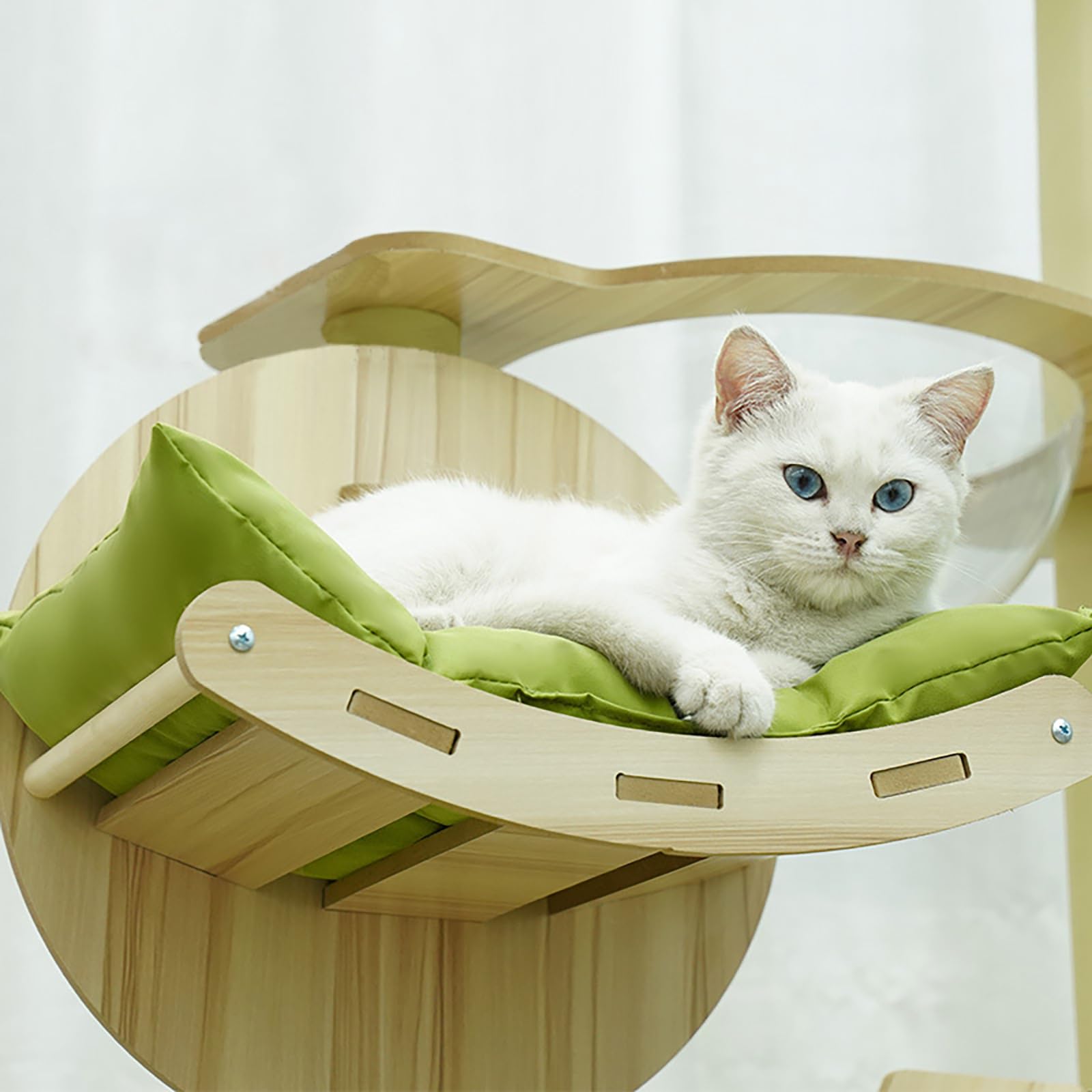 Davanzale Gatto - Migliori Offerte E Prezzi 2026