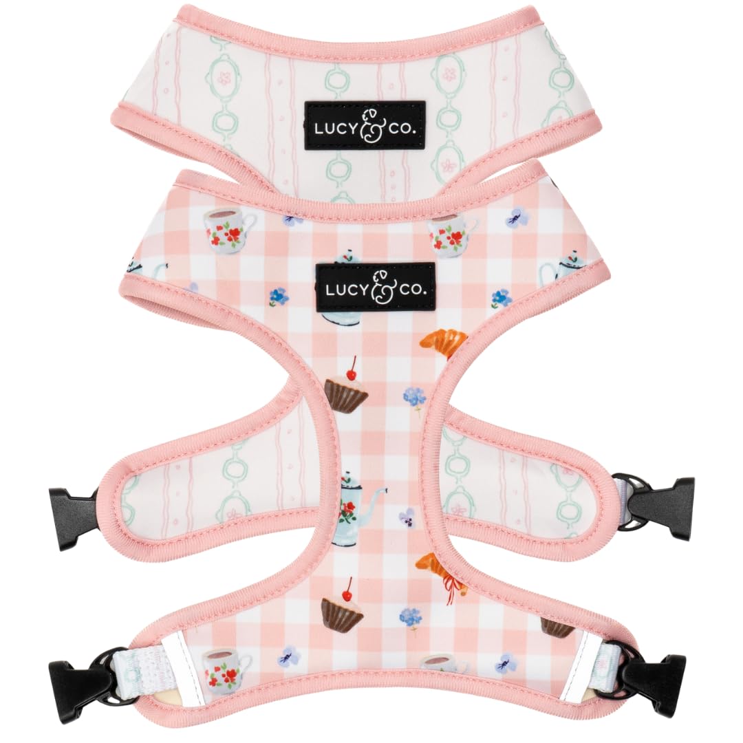 Lucy & Co. Sipping Slowly Reversible Dog Harness, Adjustable Comfort Fit with Dual Leash Attachments, Large โ image 1