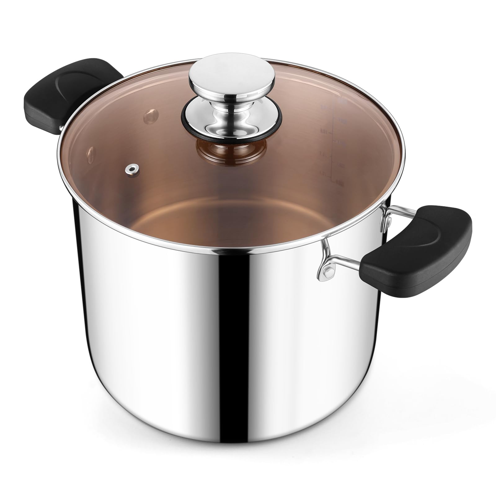 HaWare Olla grande de acero inoxidable de tres capas de 10 L y 25,5 cm para cocinar pasta y sopa de sopa, apta para inducción/electricidad/gas/cerámica, mango resistente al calor y tapa transparente,