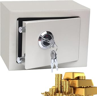 Home Safe - Home Safe Fireproof Steel Lock Box Security Safe | High Strength Robust Money Document Safe for Office Hotel Business