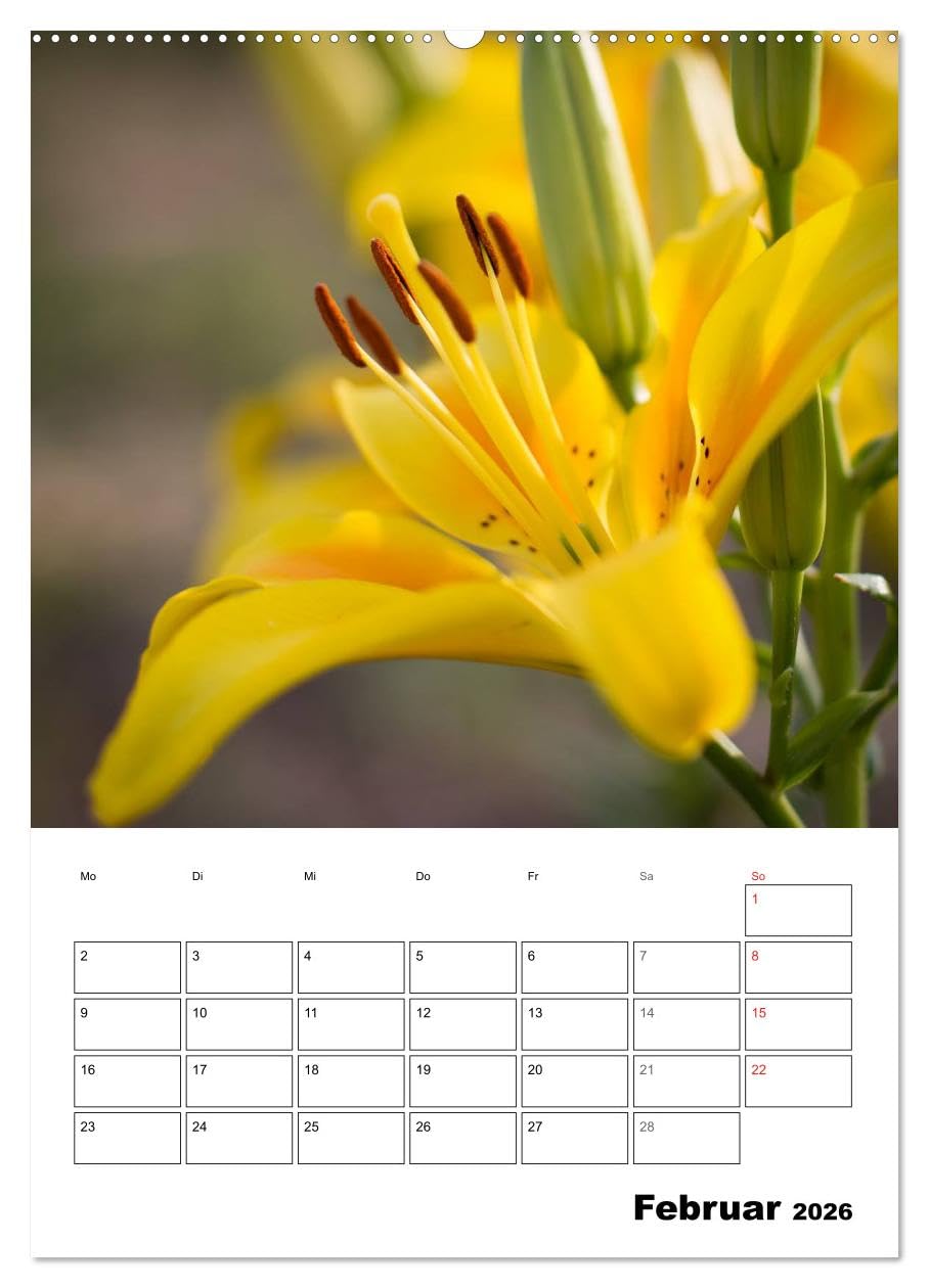 Farben der Natur (hochwertiger Premium Wandkalender 2026 DIN A2 hoch), Kunstdruck in Hochglanz: Farben für die Seele! Jede Farbe hat eine Wirkung und ... Gefühle und unsere Stimmung. (CALVENDO Natur)