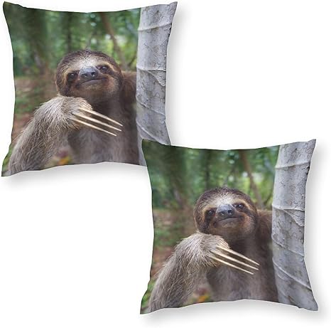 sloth pillow amazon