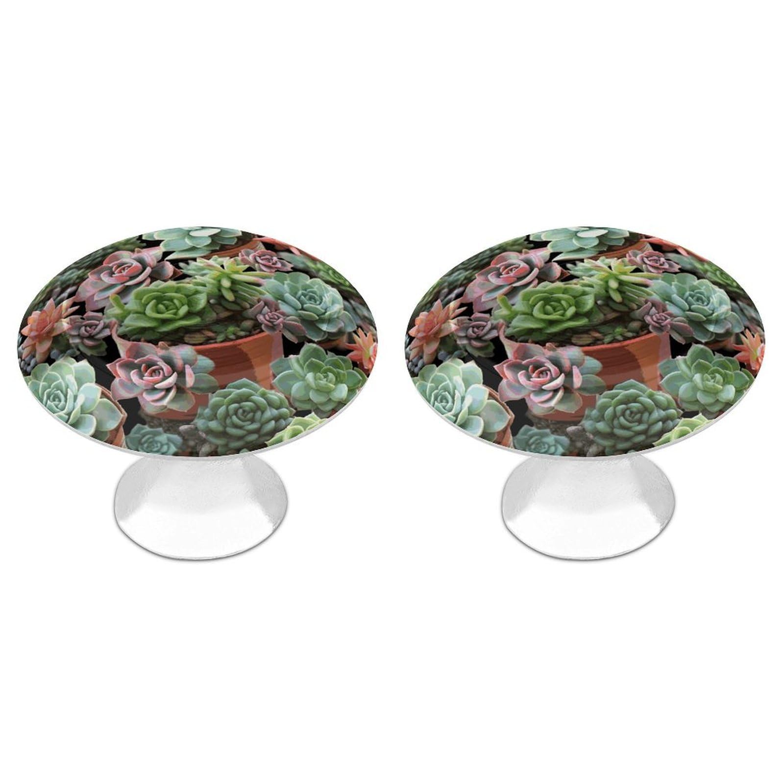 Btcowzrv Style Succulents 2 Pack Cabinet Knobs Drawer Pulls