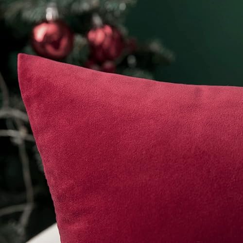 Miniatura 3 de MIULEE - Paquete de 2 fundas de almohada, de terciopelo, funda de almohada decorativa cuadrada, funda de almohada suave y de color liso para sofá o