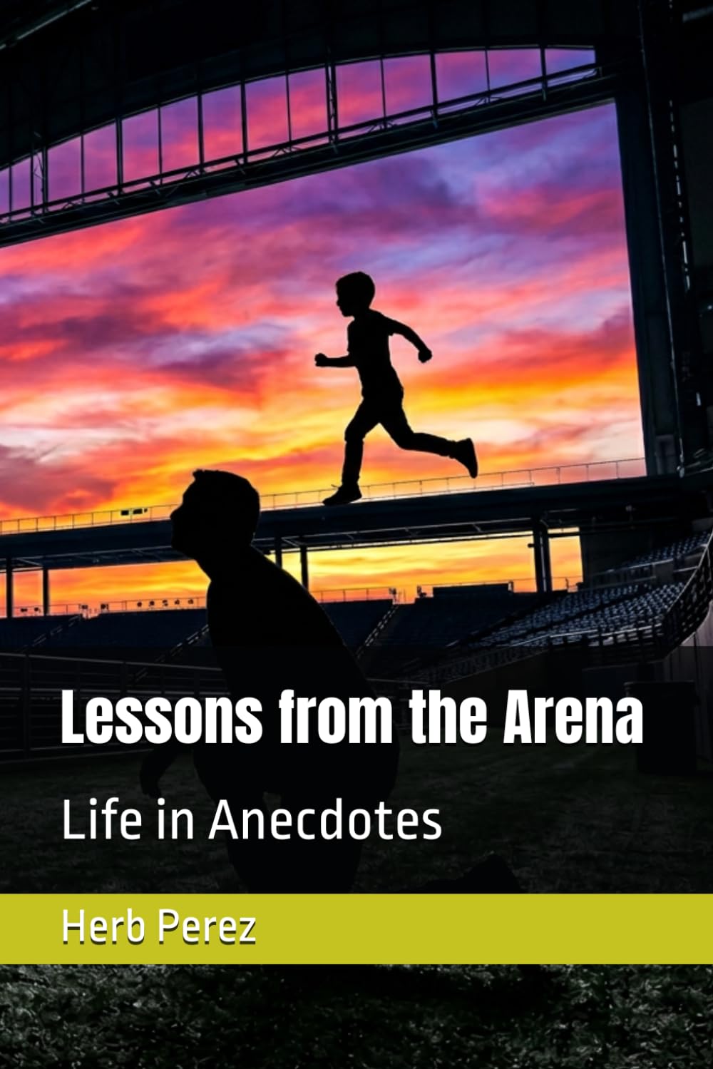 Lessons from the Arena: Life in Anecdotes (My Champion Series)