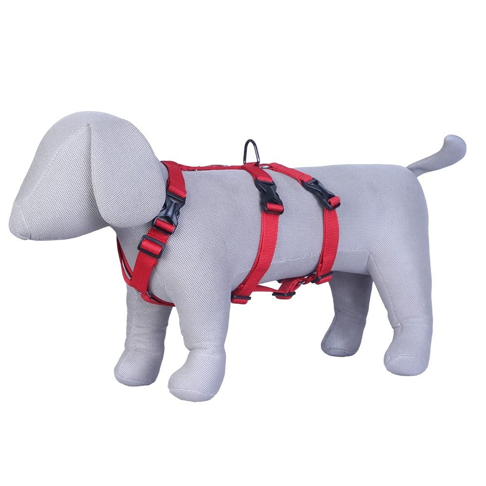 See full amazon price history chart for Pets Like Dog Double H Harness with Collar Clips Red(Medium), (GE-PL7014A) Pets Like Dog Double H Harness with Collar Clips Red(Medium), (GE-PL7014A) (B09D3CKZHM) Amazon Price History, Amazon Price Tracker