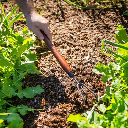 Vego Garden Bed Cultivador con Mango Largo y Púas de Acero miniatura 6