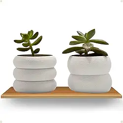 Kit 2 Vasos Decorativos Para Plantar Suculentas Mini Cactos Cachepot Cores Branco e Areia (Branco)