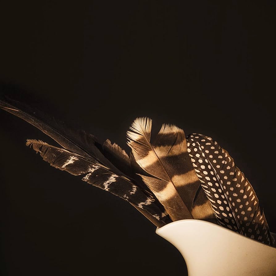 鳥の羽根　キジの翼と足 鳥の羽根 キジの翼と足