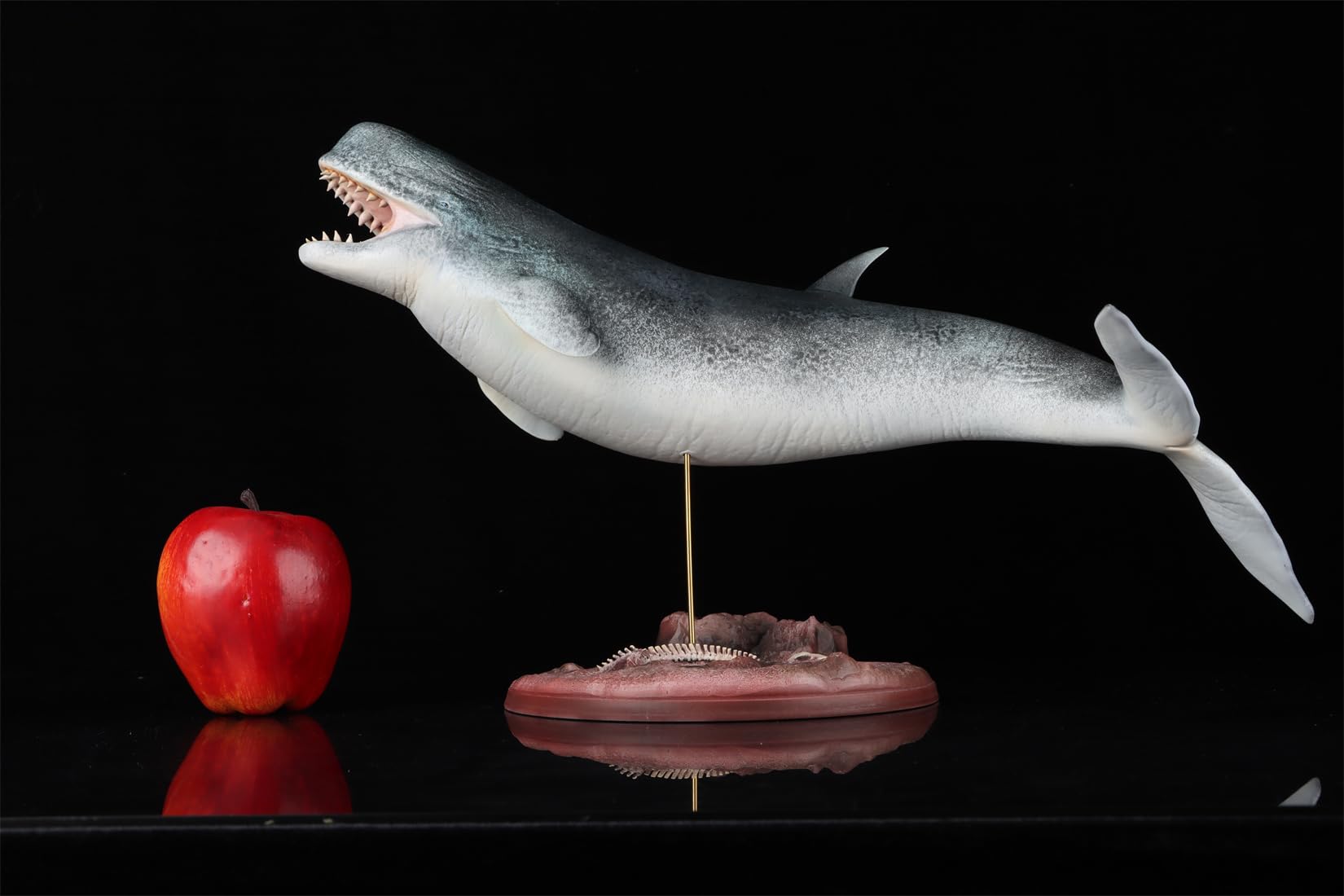 Amazon.co.jp: 1/35 サイズ リヴィアタン・メルビレイ クジラ類