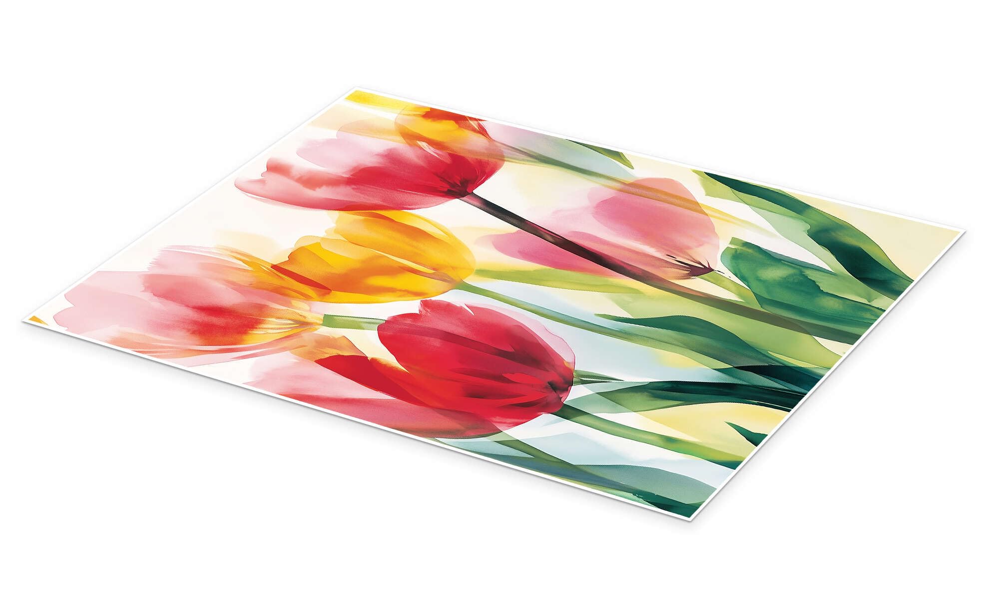 Tulip Land Plakat