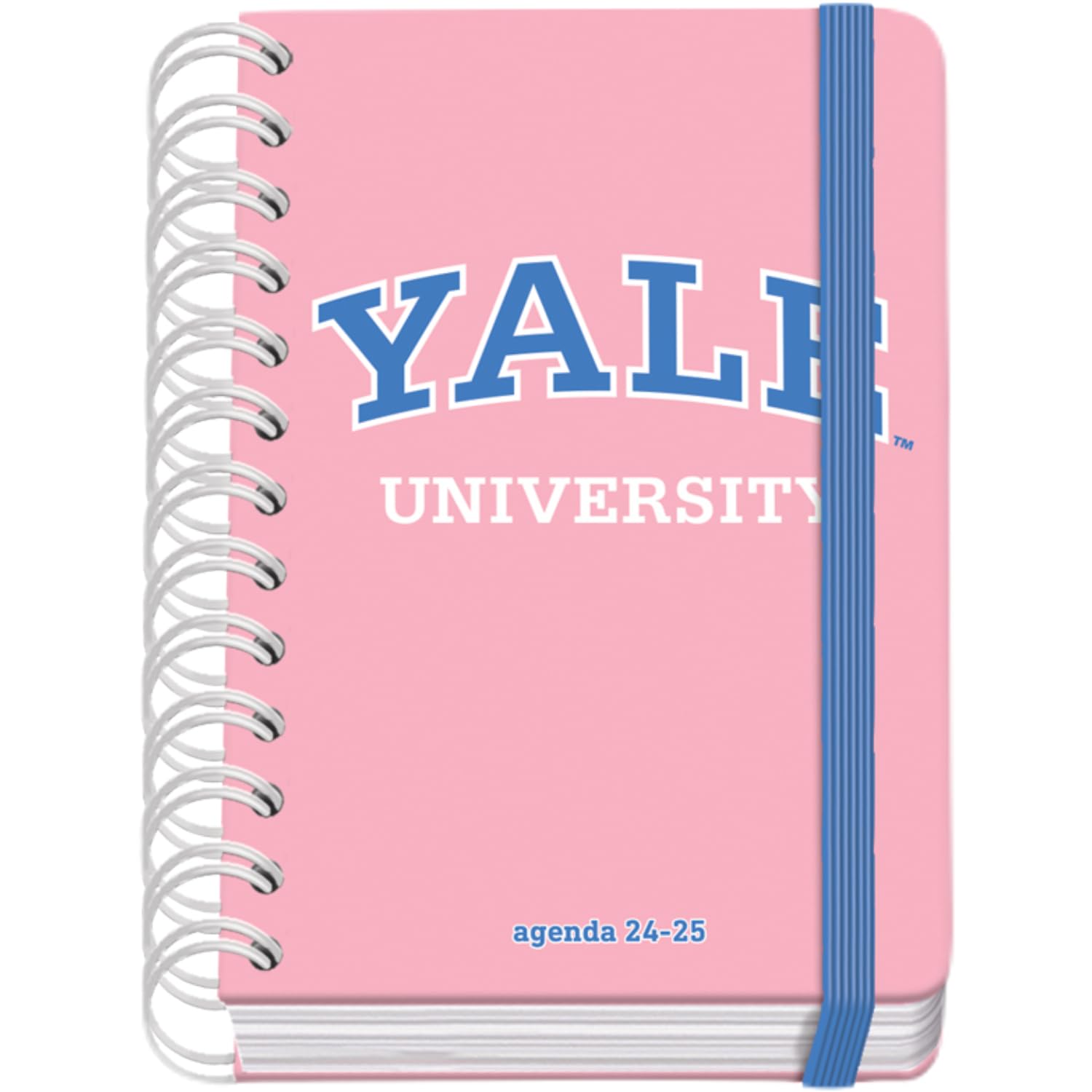 DOHE, School Diary 2024 2025, Day Page, Size A6 (12 x 17 cm), Ring Closure and Rubber, Spanish and English, 4 Sticker Pages