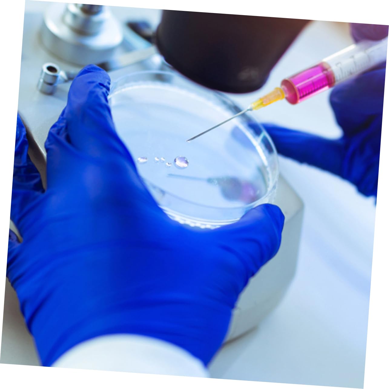 Mobestech 40pezzi Piastre Di Petri Plastica Trasparenti Con Coperchio Per Esperimenti Scientifici Ottime Per La Coltivazione Cellulare e La Ricerca Laboratorio