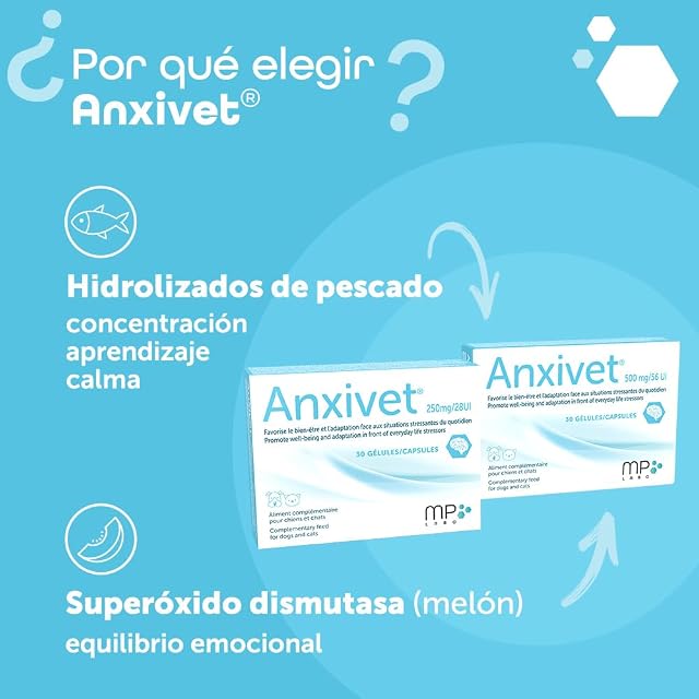 Foto 5 de 8 de MP Labo Anxivet® 250 MG 28 UI 30 Cápsulas
