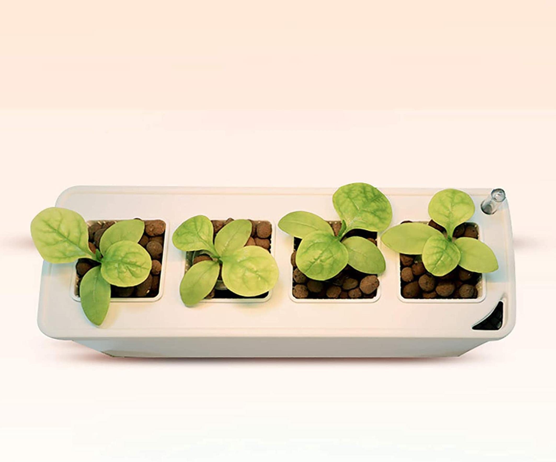 Kit De Germination du Jardin Hydroponique, Kit De Jardin d'herbe Intérieure avec LED, Plante De Semis De Culture sans Scolarisation, Idéal pour Diverses Plantes, Décoration Bricolage