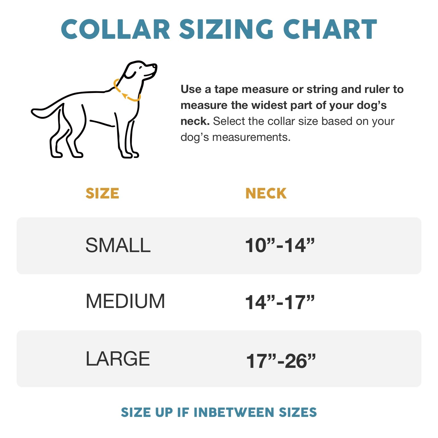 Embark Adventure Dog Collar – Stylish & Durable Nylon Dog Collars for Small Dogs, Comfortable Pet Collar, Small Dog Collars for Male & Female Dogs with Strong Buckles. Adjustable Small Dog Collars