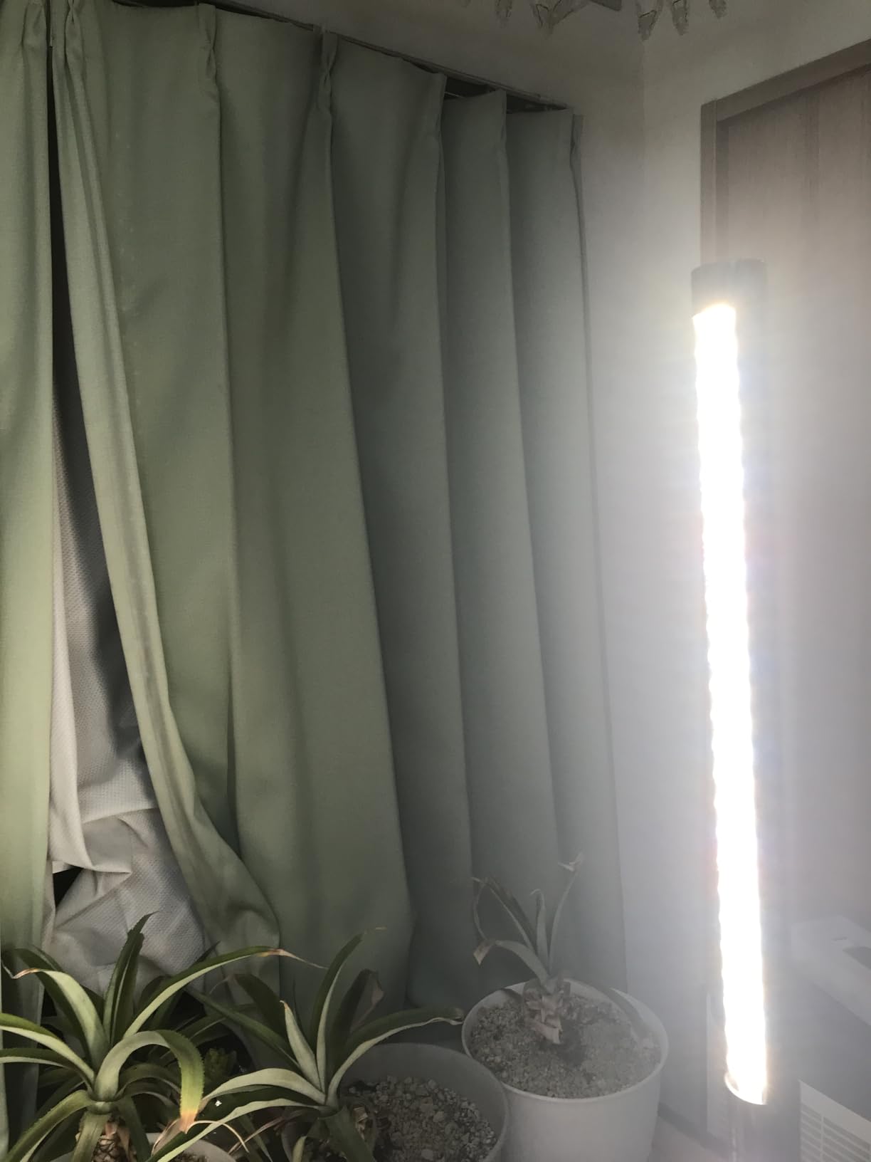 お客様イメージ