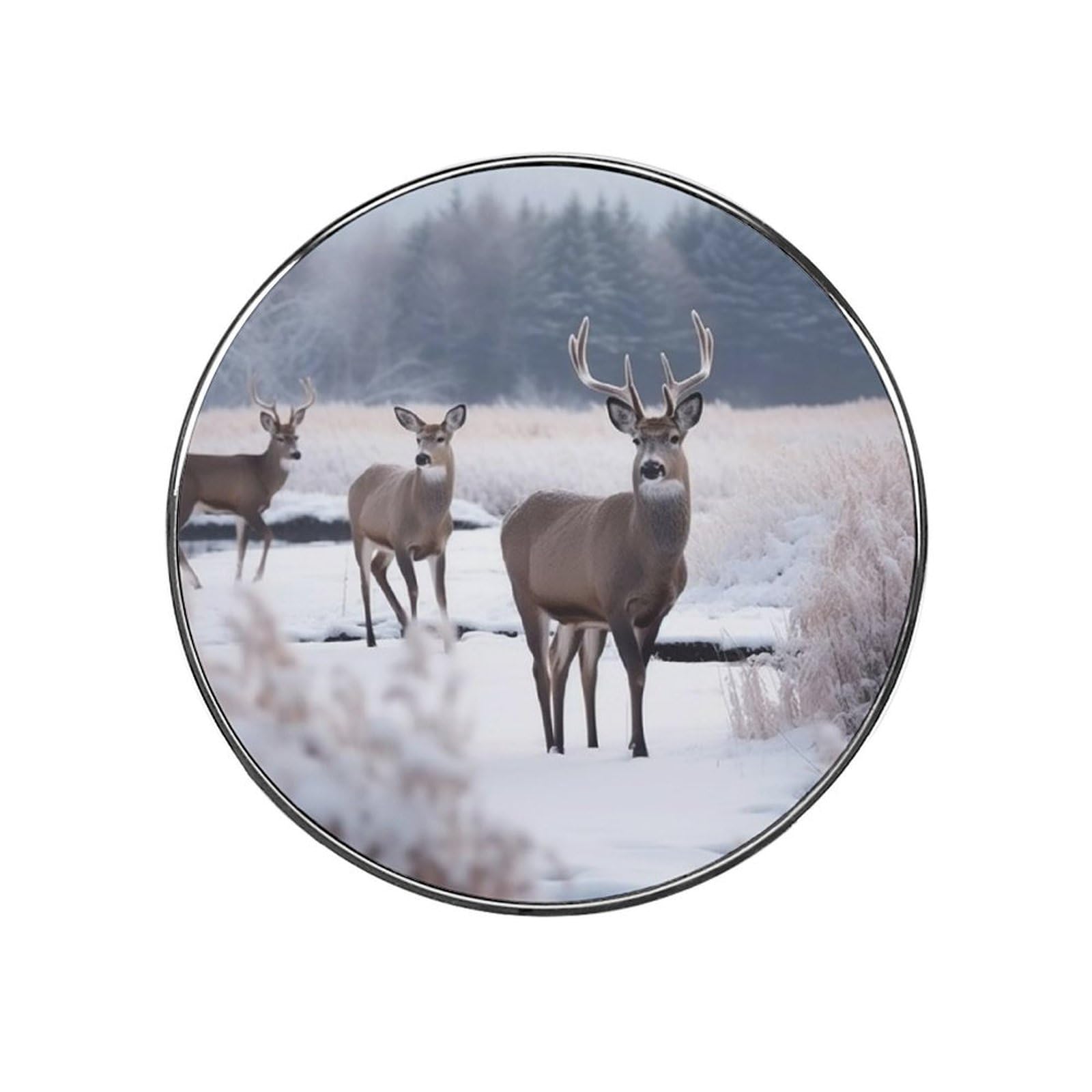 Fridge Magnets Waterproof Heavy Duty Small Magnets for Fridge Deer on Frozen Wilderness Refrigerator Magnets Mini Round Cute Decorative Magnets for Crafts Home Kitchen Office Whiteboard Decor