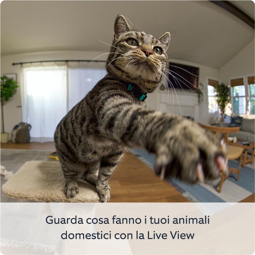 Videocamera interna inclinabile Ring (Pan-Tilt Indoor Camera) | Videocamera di sicurezza plug-in | Panoramica 360°, inclinazione 169° | Ring Protect: 30 gg. prova gratuita