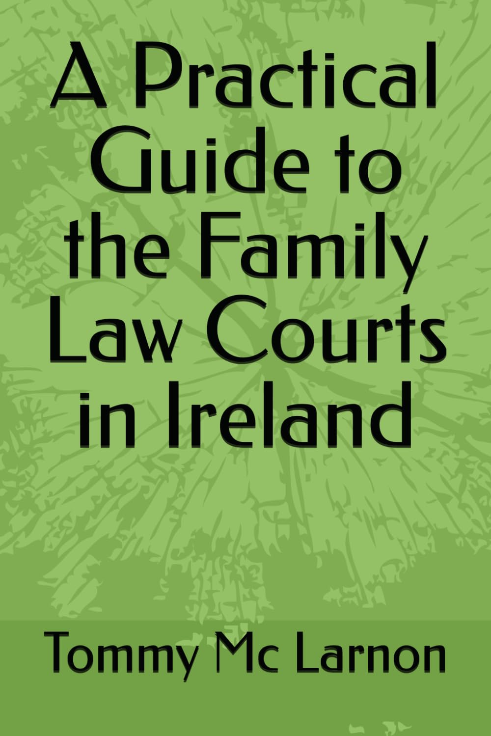 A Practical Guide to the Family Law Courts in Ireland