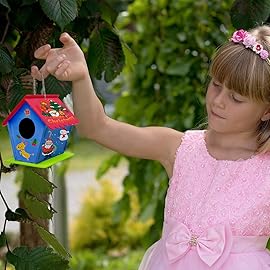 hapray 12 Pack Bird House Kit, DIY Birdhouse Kits, Wooden Crafts Arts for Children to Build and Paint (Includes Paints & Brushes) for Kids Girls Boys Toddlers Halloween Christmas Gift
