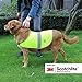 Produktbild Salzmann reflektierende Hundeweste, ausgestattet mit 3M Scotchlite, reflektierende Hundejacke in verschiedenen Größen für alle Hunderassen (2 Stück pro Set), Größe XS