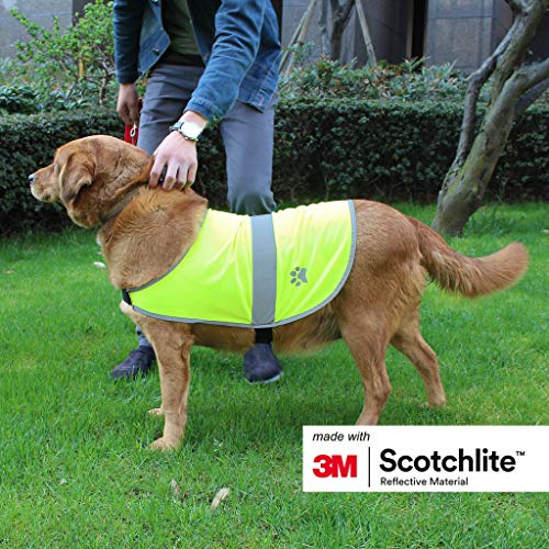 Preisvergleich Produktbild Salzmann reflektierende Hundeweste, ausgestattet mit 3M Scotchlite, reflektierende Hundejacke in verschiedenen Größen für alle Hunderassen (2 Stück pro Set), Größe XS
