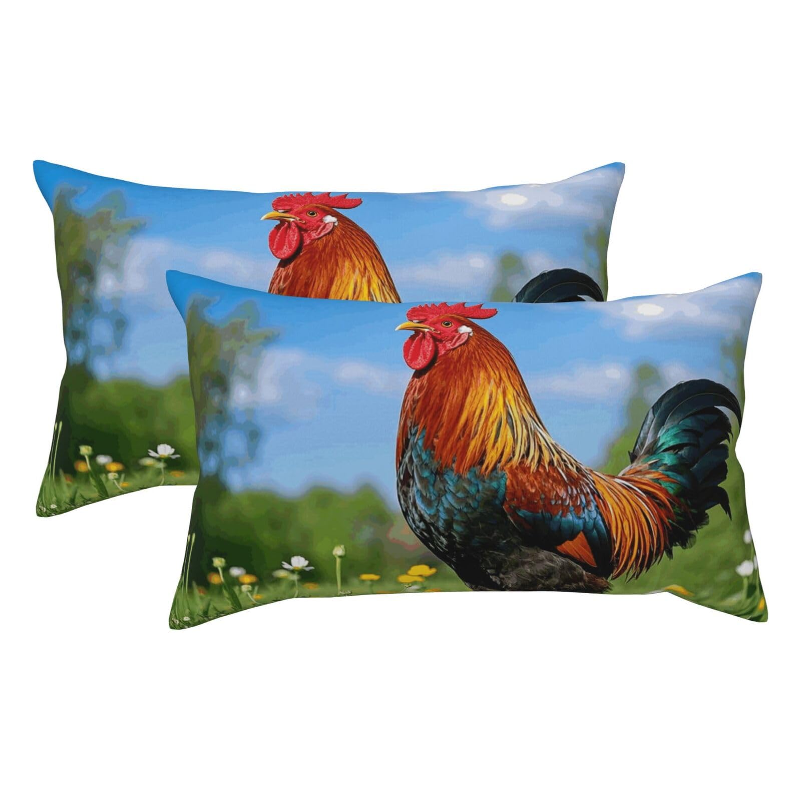 2 Pack King Pillow Cases with Hidden Zipper, Soft Breathable Pillow Covers for Hair and Skin, Rooster Pillowcases 20"x36" Bed Pillow Protectors Cover for Sleeping Gifts