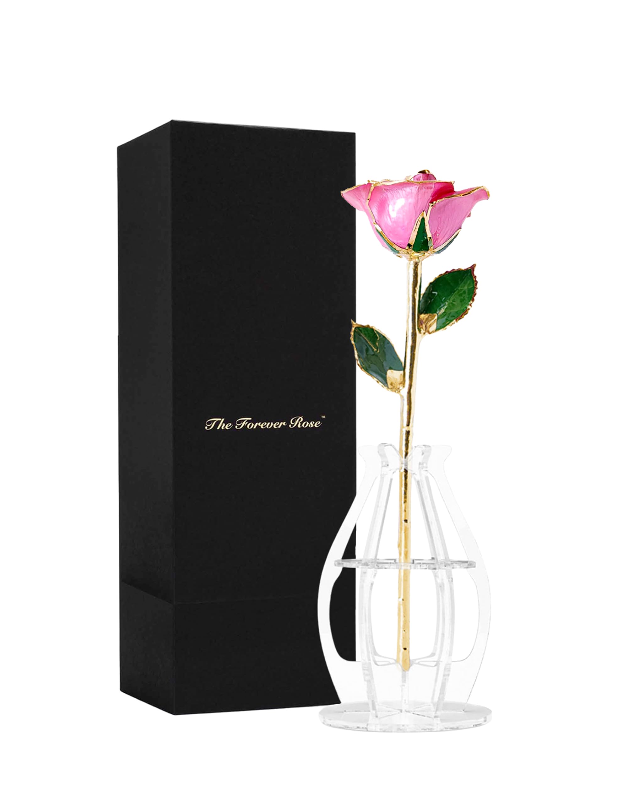 Forever Rose Gold Trimmed Pink Open Bloom Real Rose Dipped in 24K Gold, Ready to Gift, Presented in Phantom Vase and Bloom Box, Unique & Everlasting