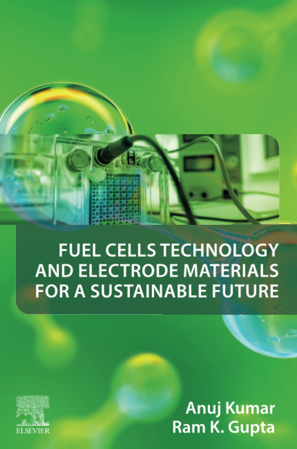 Fuel Cells Technology and Electrode Materials for a Sustainable Future