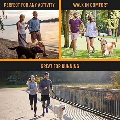 Active Pets Strong Dog Leash With Padded Handle, 4 Sizes From Puppy Leash To 6Ft Dog Leash For Large Dogs, Dog Leash 6Ft-4Ft Long, Comfortable 6Ft Dog Leash For Big Dogs & Dog Leash For Medium Dogs #TOP4