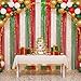 Zhanmai 4 Pack Mexican Italian Theme Party Red White Green Tinsel Foil Fringe Curtains 3.2×8.2 ft Metallic Streamers Tinsel Curtains Background for Cinco De Mayo Fiesta Graduation Baby Shower Party