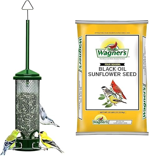 Squirrel Buster - Mini comedero para pájaros a prueba de ardillas con 4 perchas de metal, capacidad de semillas de 0.98 libras y Wagner's 76027