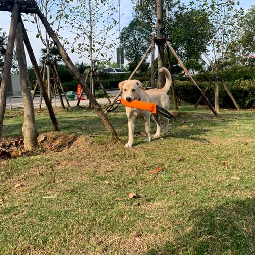 Geavonyg Zerrspielzeug Für Hundetraining Reißfest Alle Hunderassen Geeignet Erleichtert Training Und Sorgt Interaktiv Positive Verstärkung Bei Langeweile Und Intelligenz. Groß Kauen Bei