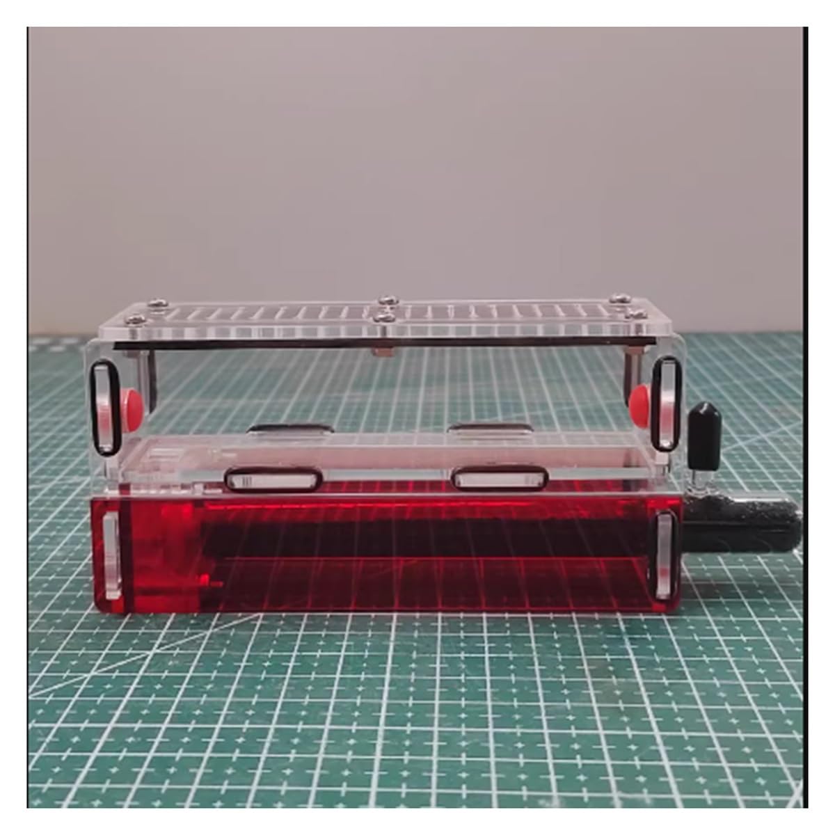 Ameisenhaus, Acrylglas-Reagenzglas-Ameisen-Nistkasten, for die Zucht von Ameisen, Formicarium for Fors(18 Caliber-b)