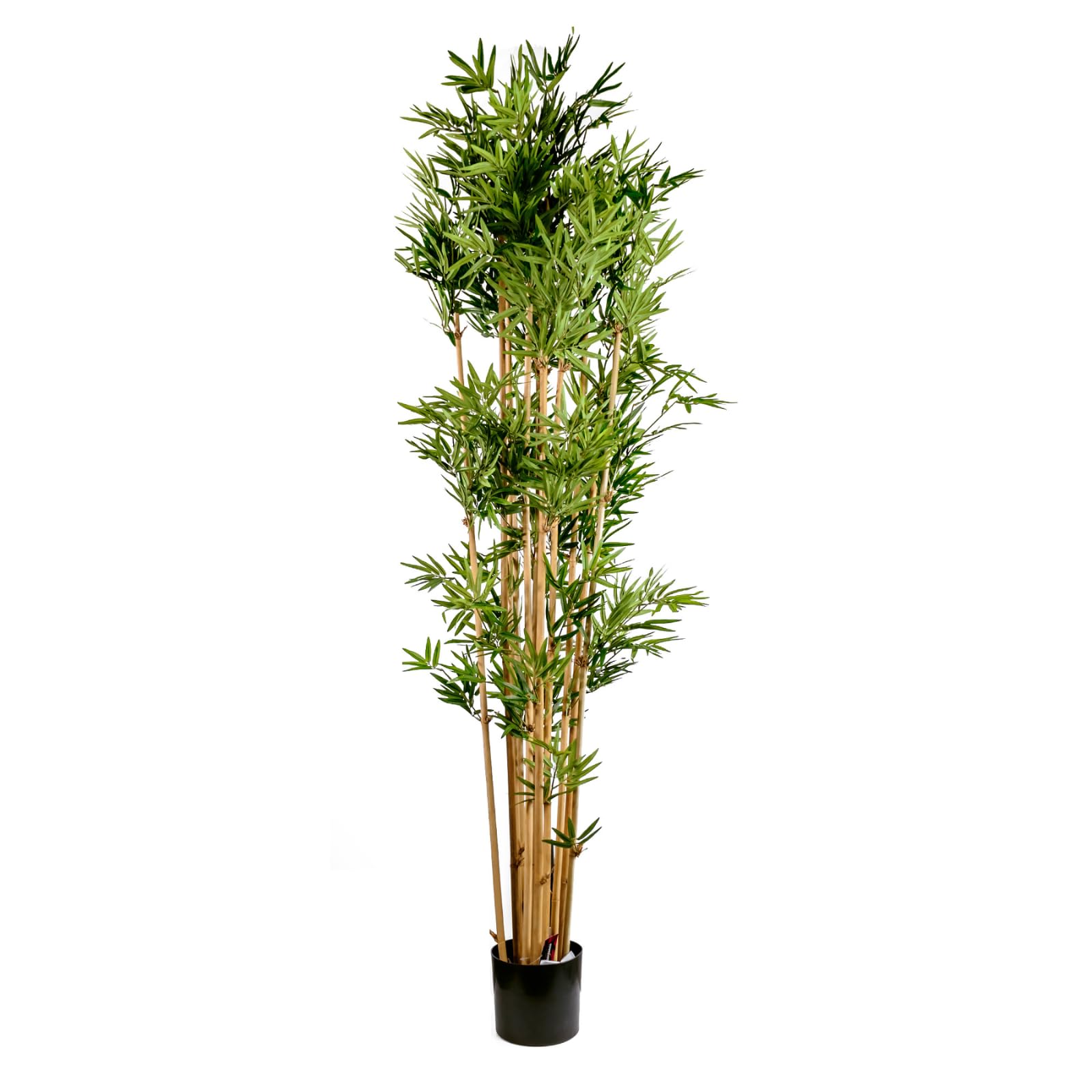 Gulf Flowers Artificial Bamboo Trees - Real Touch Natural Artificial Trunk Perfect for Home Decor Interior Design Outdoor Entryway Housewarming Gift (153cm Japanese Bamboo Tree)