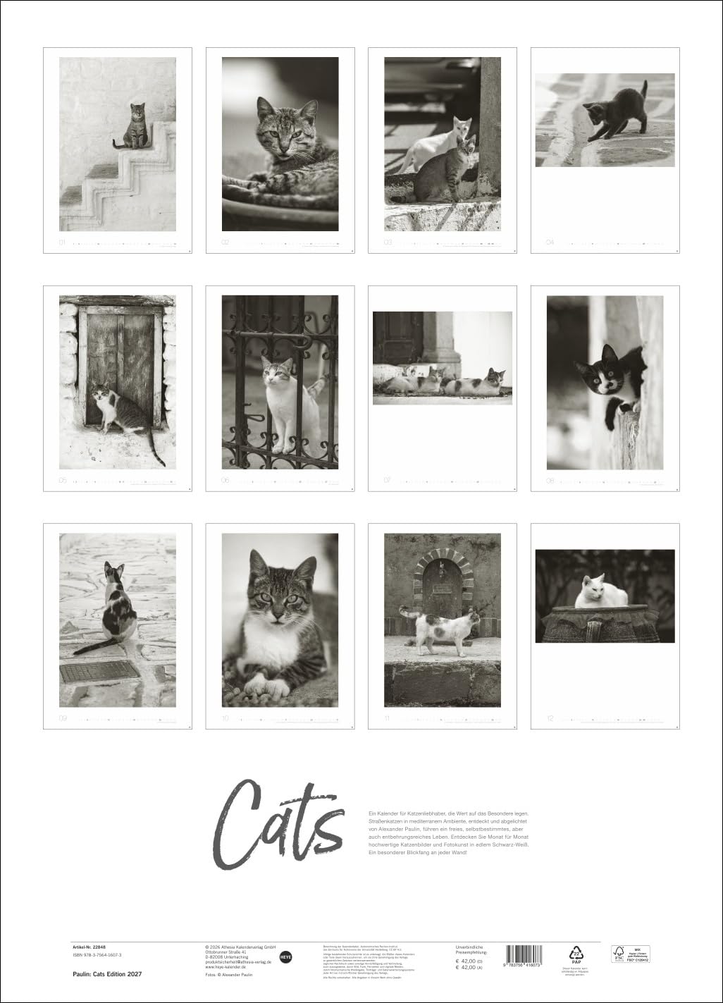 Cats Edition Kalender 2027: Elegante Samtpfoten in schwarz-weiß in einem XXL-Kalender. Tierkalender 2027 im Großformat. Hochwertiger großer Fotokalender für Katzenfans.