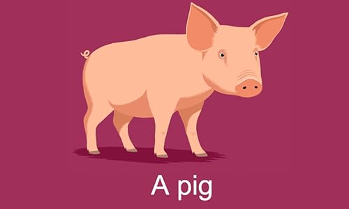 Farm Animals