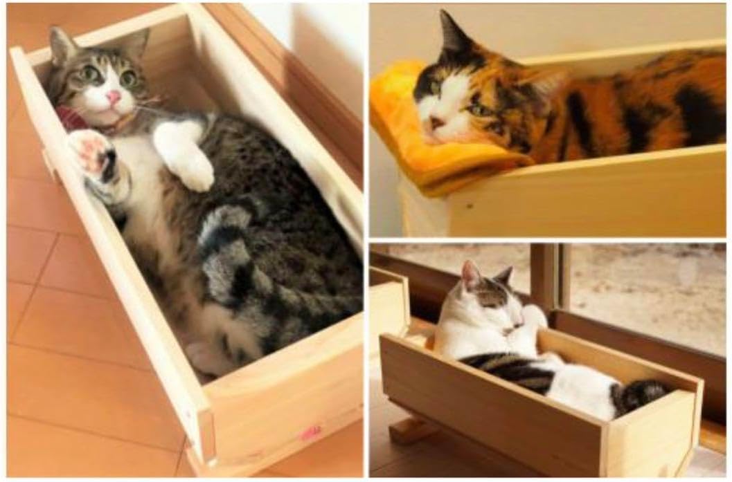 白猫と黒猫シリーズ 冬景色 白猫と黒猫シリーズ 冬景色 白猫と黒猫 白猫と黒猫シリーズ 冬景色 白猫と黒猫シリーズ 冬景色 白猫と黒猫