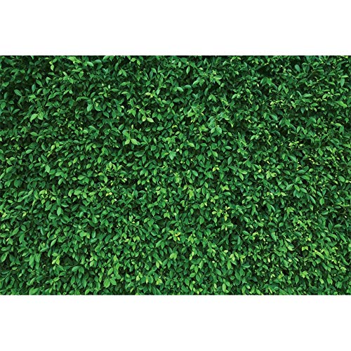Pnylzzyxh Green Leaves Backdrop Greenery Leaf Wall Backdrop 12x10ft