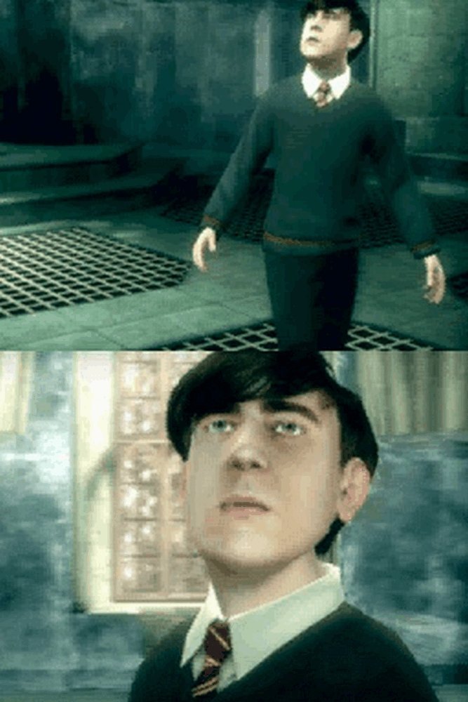 Harry Potter et l'ordre du phénix [Nintendo DS] [Importado de Francia][Importato da Francia]