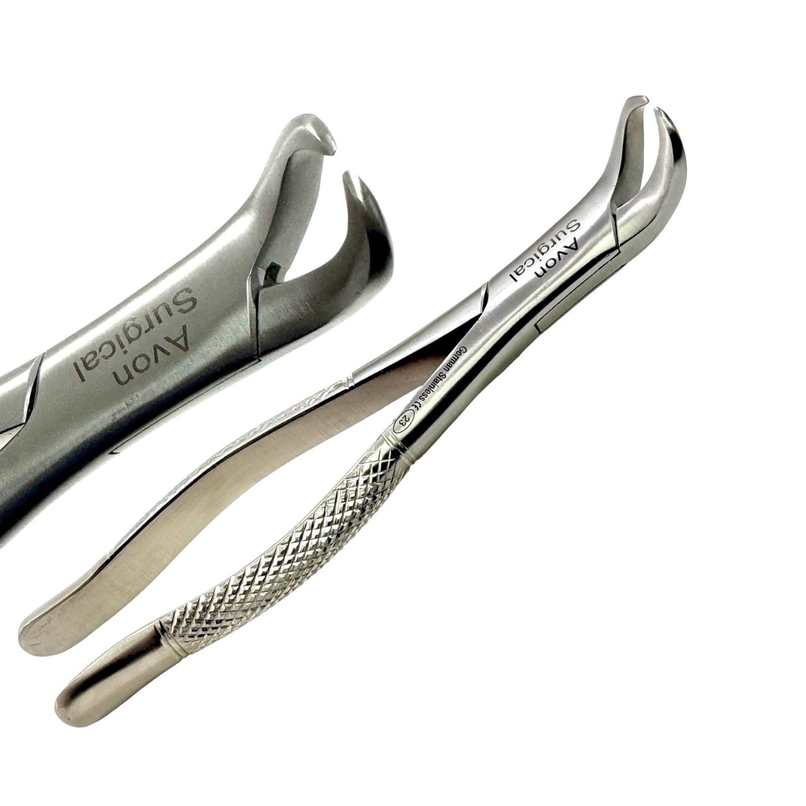 健康・医学 The Tooth Preparation The Tooth Preparation※裁断済 The Tooth Preparation※裁断済