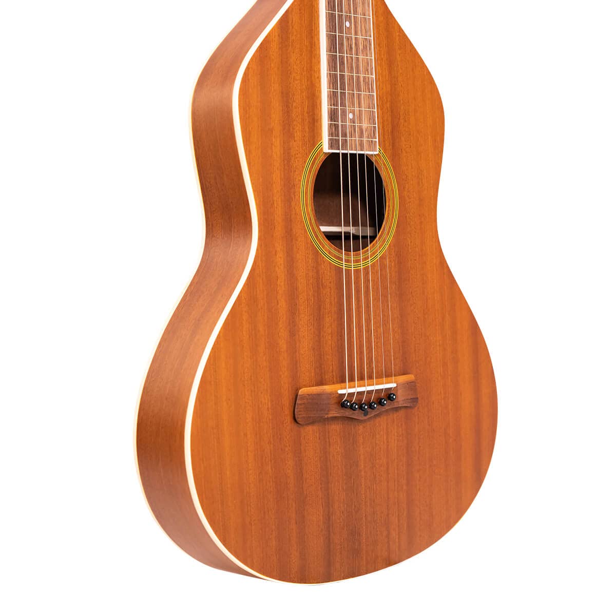 Amazon | Gold Tone 6 String Weissenborn, Right (GT-WB) | スチール