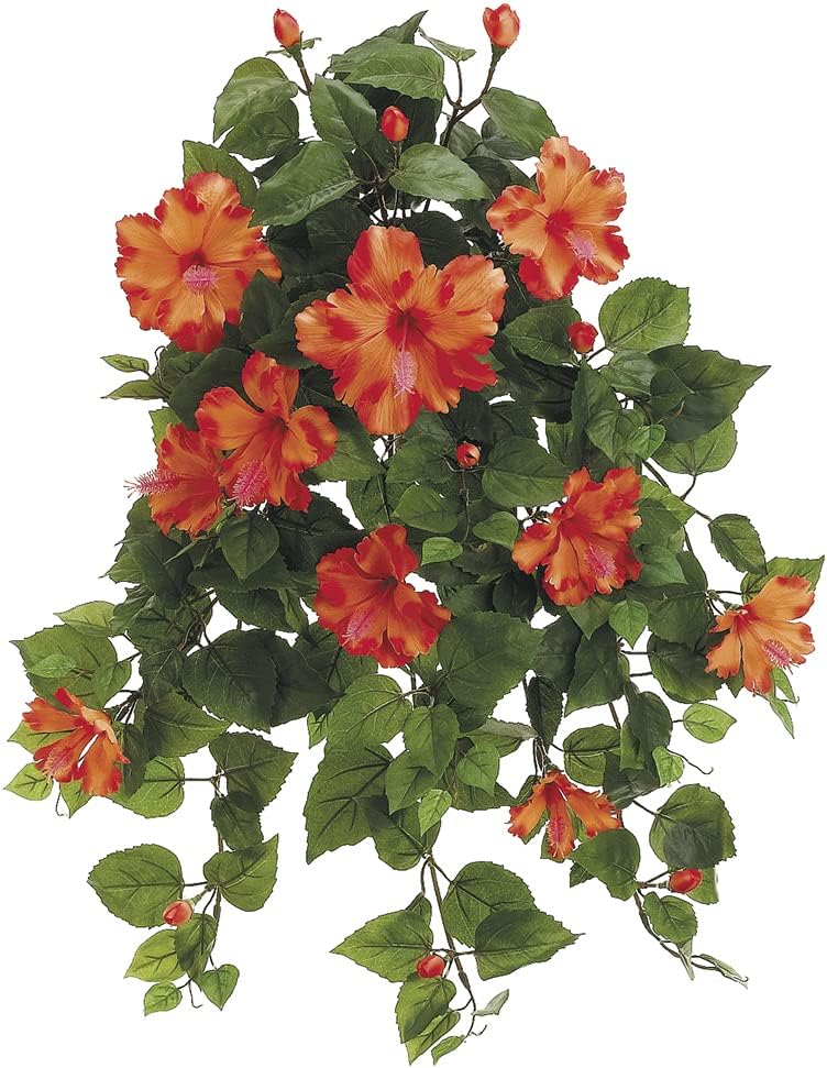 26" Hibiscus Hanging Bush x13 w/216 Lvs. Orange (Pack of 4)