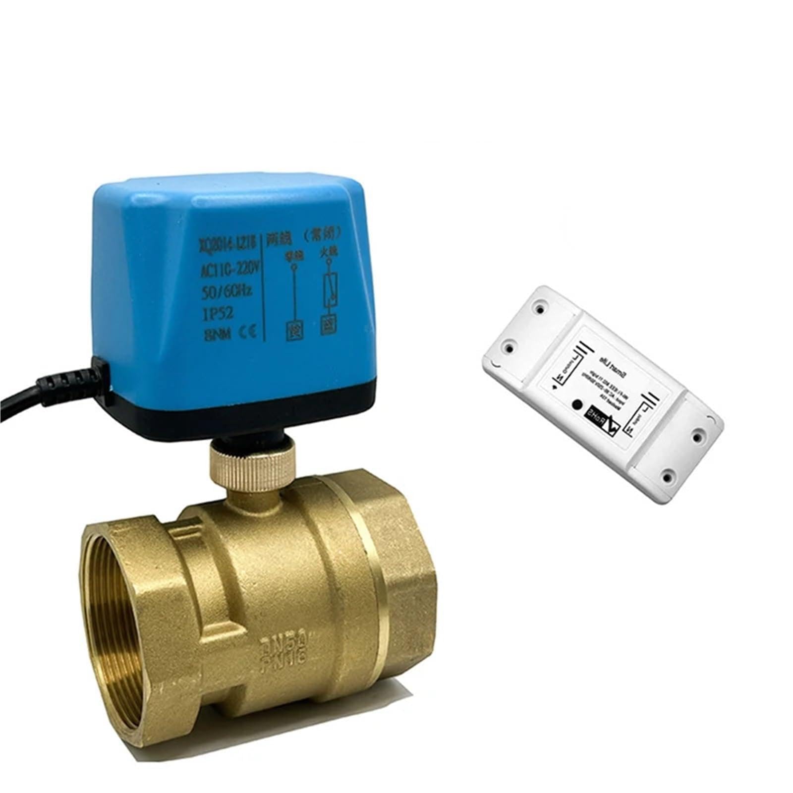 Vanne connectée WiFi Tuya DN50 pour couper l'eau des vacances via smartphone