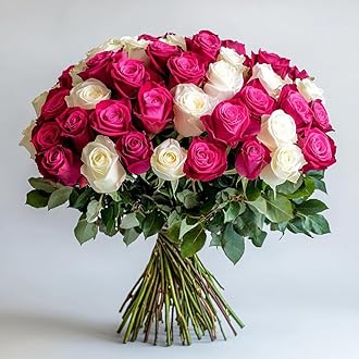 GlobalRose 50 Fresh Cut Roses (25 Hot Pink and 25 White) - Fresh Flowers Bouquet - Flowers for Mother's Day, Wedding, Birthday, Anniversary, Women's Day, or Home Decor (OM)