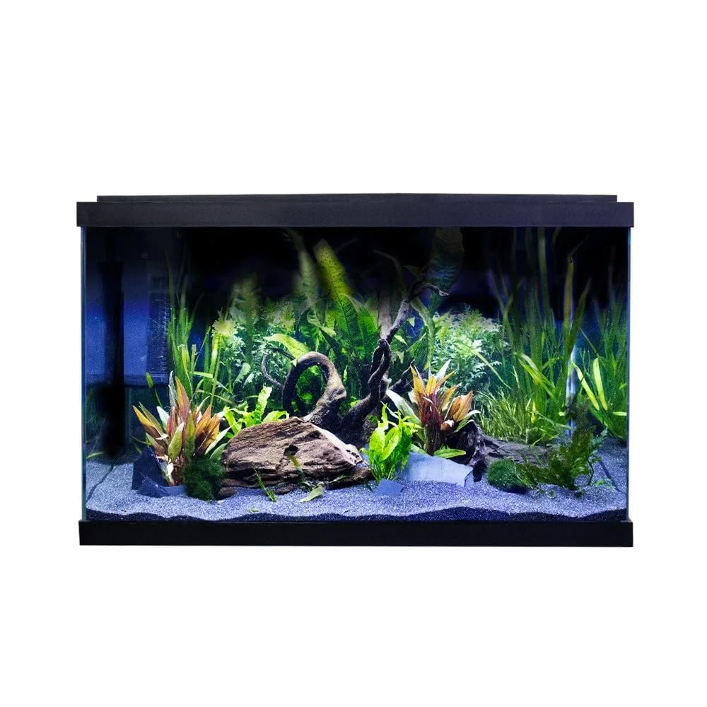 Swell Premium Tropical Aquarium Kit, 57L, Ultra-Clear Glass, LED Lighting, 60 x 30 x 37cm
