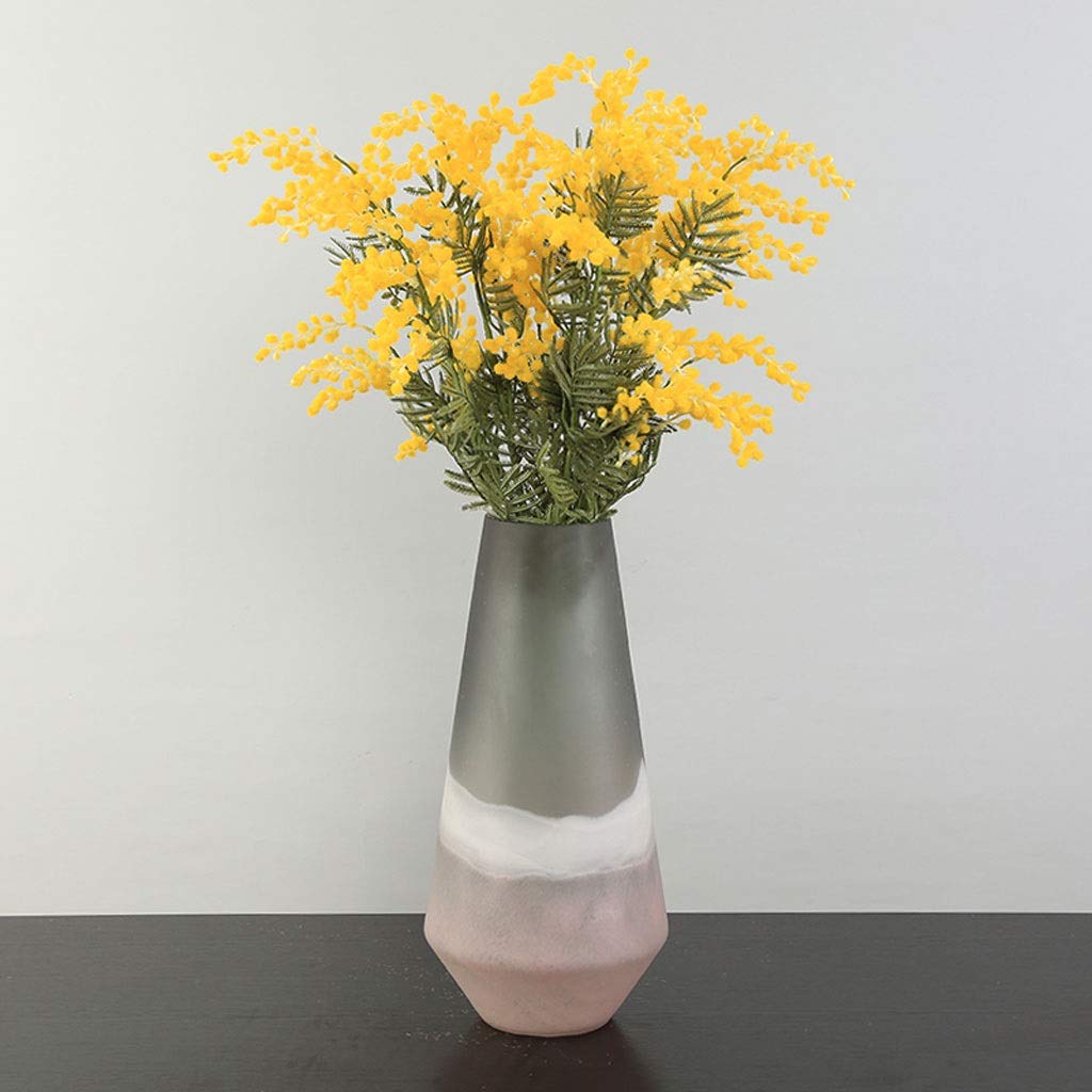 Vaso Il vaso di vetro smerigliato americano può essere idroponico Home Living Room Model Room Mobile TV Decorazione floreale Decorazione Vaso In Ceramica(B)