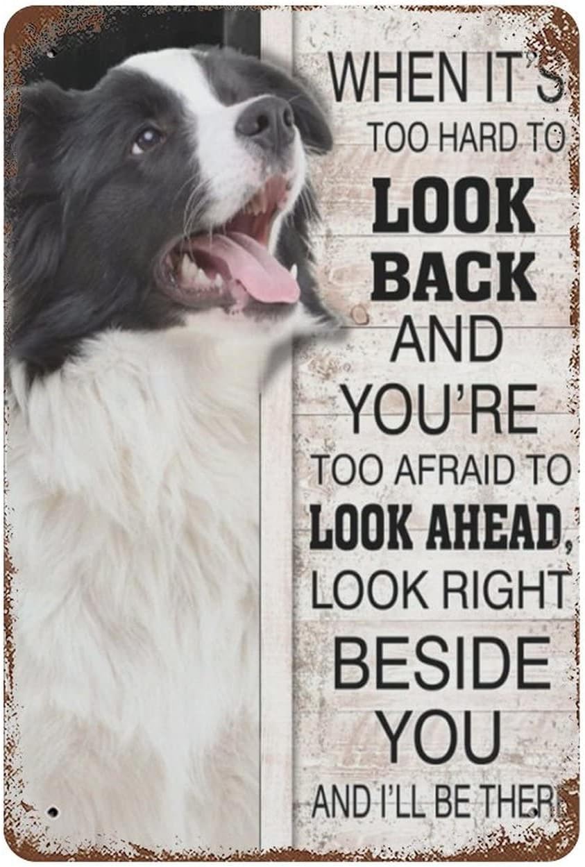 peiyeety Novelty Metal Aluminum Sign, Dog Caption Home Wall Decor Birthday Gift Garden Yard Signs Vintage Printing Plaque 8"x12"